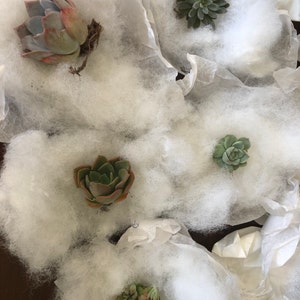 Sara added a photo of their purchase