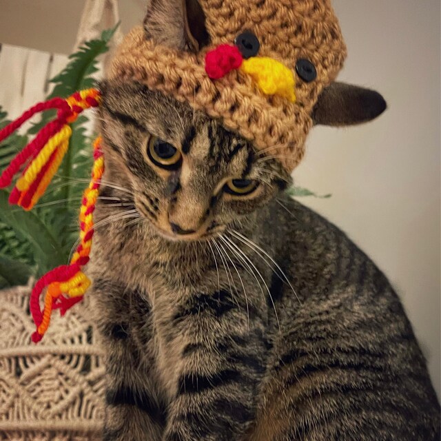 Costumes For Cats Thanksgiving Turkey Hat For Cats, Funny