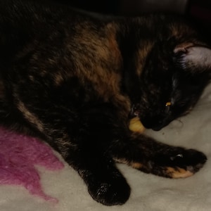 Comprador de Etsy ha añadido una foto de su compra