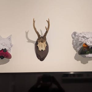 Sarah added a photo of their purchase