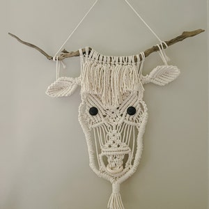 Jo added a photo of their purchase