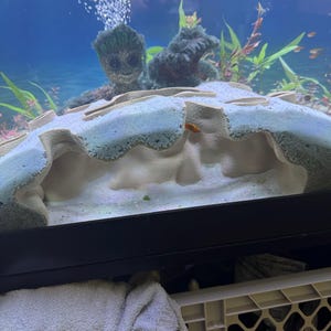 Christopher added a photo of their purchase