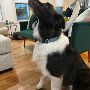 Diana ha añadido una foto de su compra