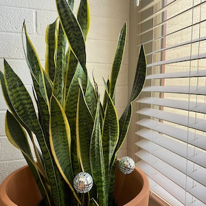 Ninette added a photo of their purchase