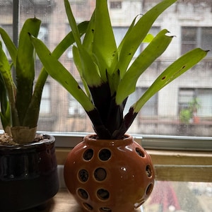 Christine added a photo of their purchase