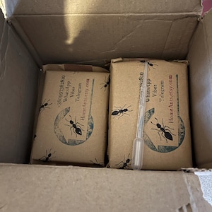 Bradley added a photo of their purchase