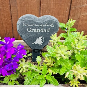Laura added a photo of their purchase