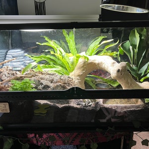 Carley added a photo of their purchase