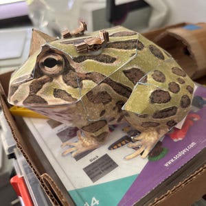 角のあるカエル / 3D ペーパークラフト / カエルの紙の彫刻 / カエルの