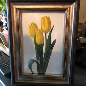 Andrea added a photo of their purchase