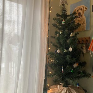 Emily added a photo of their purchase