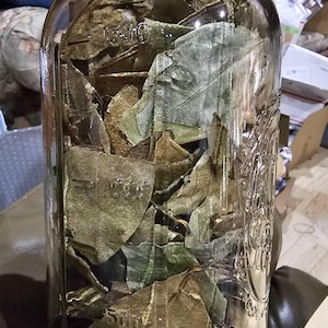 Vickie さんが購入した商品の写真を追加しました