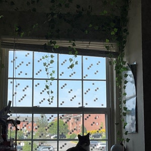 Scarlett added a photo of their purchase