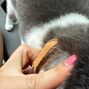 Katie hat ein Foto des gekauften Artikels hinzugefügt