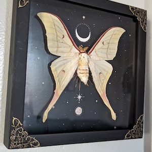 Jenny added a photo of their purchase