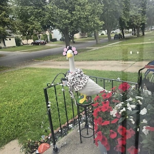 Kerri added a photo of their purchase