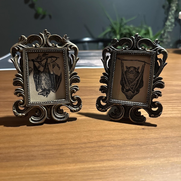 Vintage Bat Print in Baroque Frame - Antique Hanging Spooky Framed ...