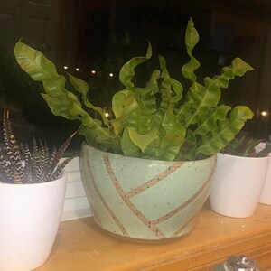 Esther added a photo of their purchase