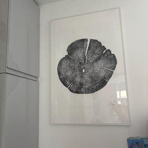 100 Year Old Juniper Tree Rings Print, 24 X 36 Premium Wood