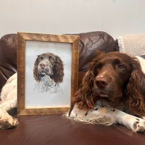Lisa a ajouté une photo de son achat