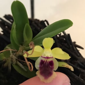 Melissa added a photo of their purchase