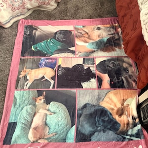Amy added a photo of their purchase