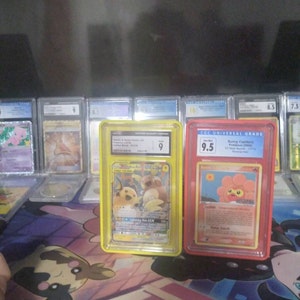 Jose added a photo of their purchase