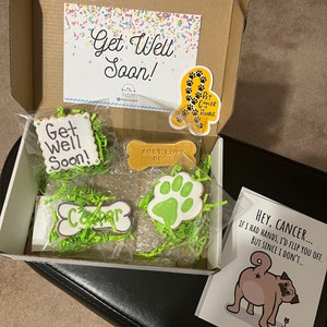 6 Get Well Soon Gifts for Dogs