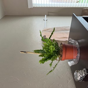 MONICA heeft een foto van de aankoop toegevoegd