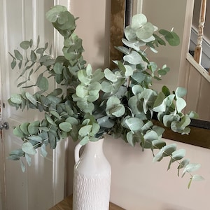 Kirsty added a photo of their purchase