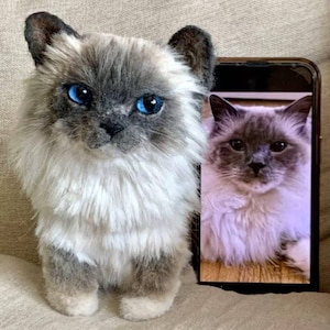 Silke added a photo of their purchase