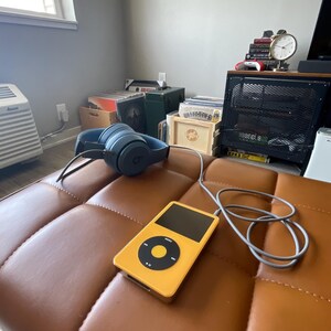 カスタマイズされた iPod ビデオ 5 世代、プロフェッショナルに