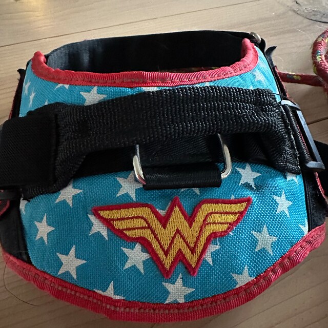 Parche Bordado Wonder Woman Mujer Maravilla Para Coser 9x5cm