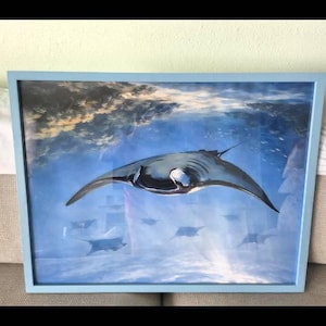 Tammy added a photo of their purchase