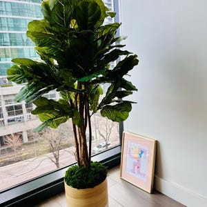 Laurie added a photo of their purchase
