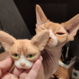 Anne ha añadido una foto de su compra