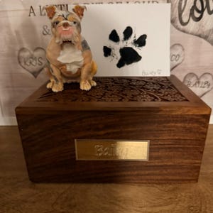 Kelly ha añadido una foto de su compra