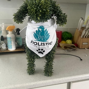 Jodi added a photo of their purchase