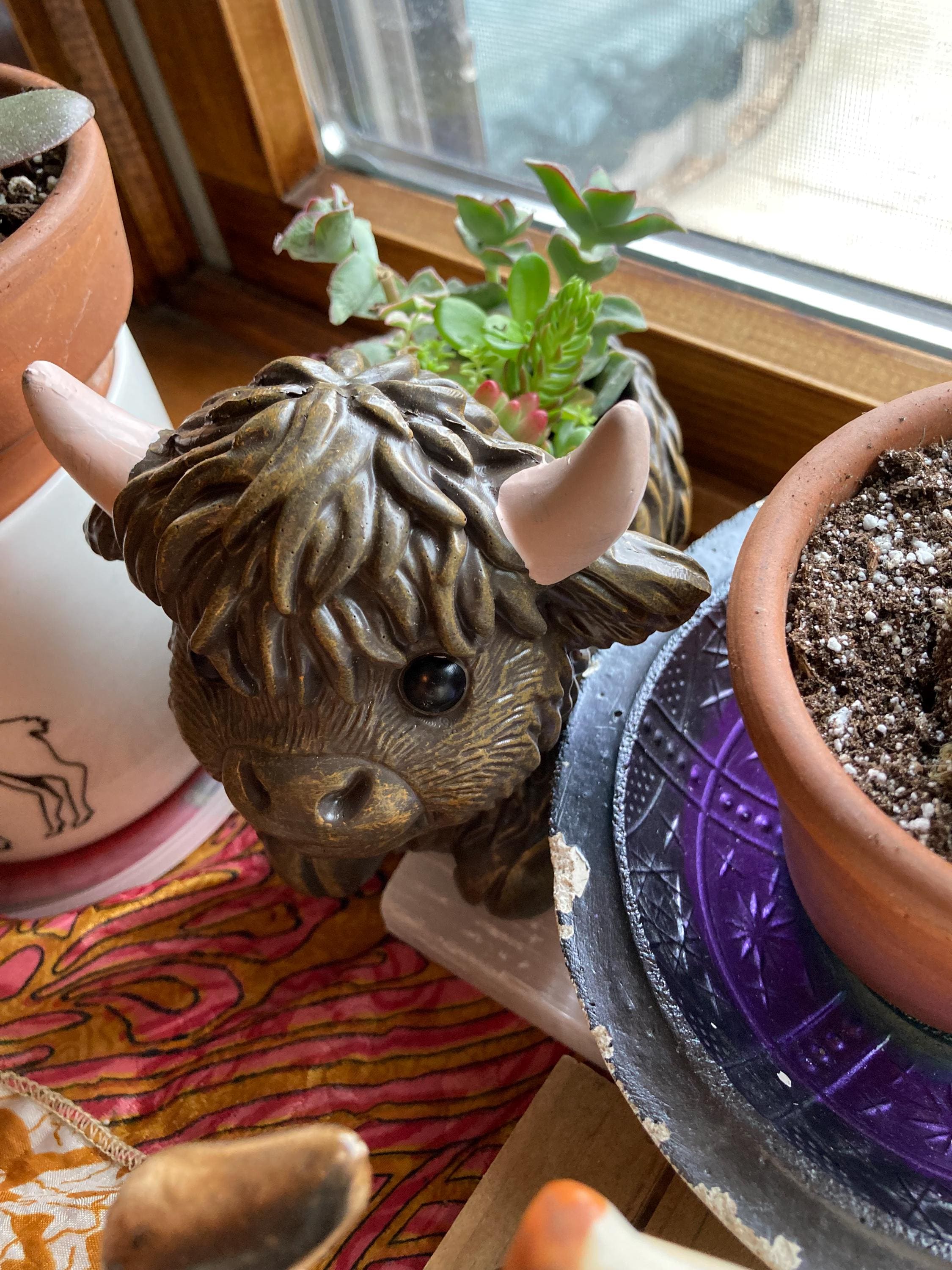 Mini Highland Cow Succulent Arrangement – Cute Succulent Planter, Farmhouse Decor, Unique Gift, Succulent Cow, Handcrafted Planter for Home