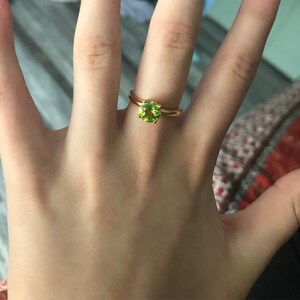 Paula added a photo of their purchase