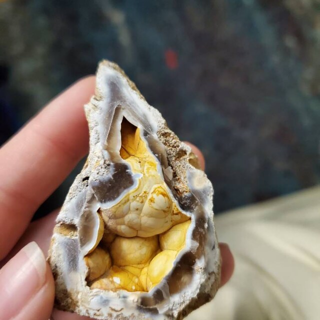 希少な瑪瑙化サンゴジオード - Etsy 日本