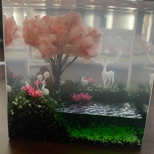 Shannon ha añadido una foto de su compra