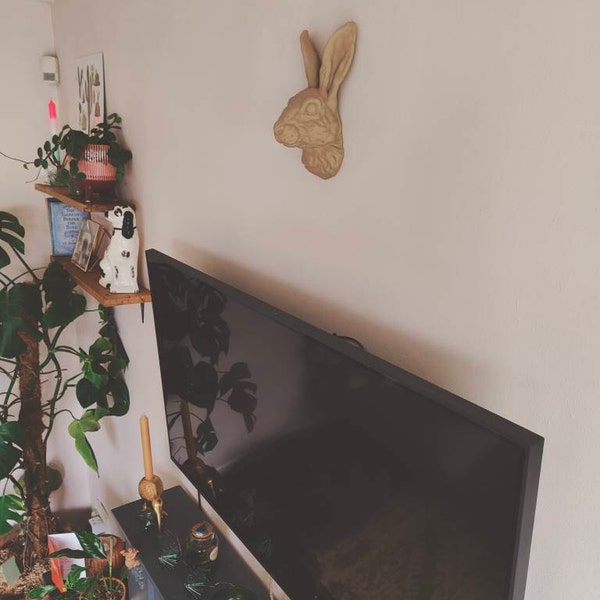 Rabbit Head Wall Art | 3D Bunny Head Decor, Finished in Pale Brown ...