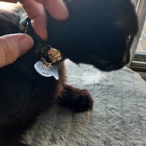 Tai added a photo of their purchase