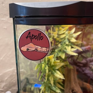 Jenna heeft een foto van de aankoop toegevoegd