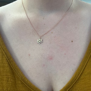 Elizabeth added a photo of their purchase