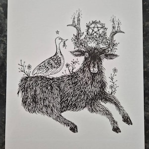 Paiton added a photo of their purchase