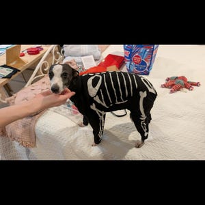 Tessa added a photo of their purchase