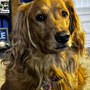 Jamie heeft een foto van de aankoop toegevoegd
