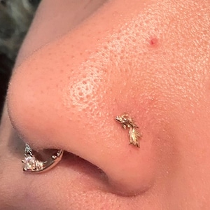 Ayanna added a photo of their purchase
